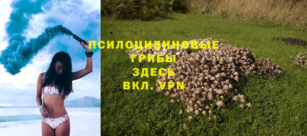 спиды Арсеньев