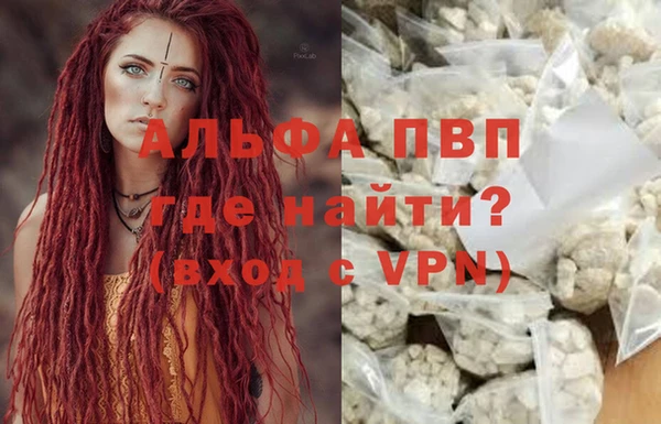 крисы Армянск