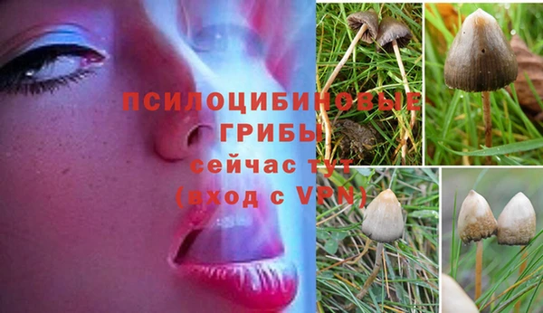 крисы Армянск