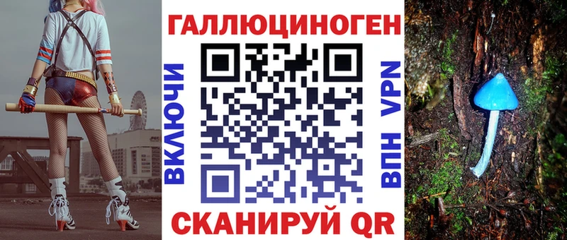 сколько стоит  Севск  блэк спрут ссылки  Псилоцибиновые грибы GOLDEN TEACHER 